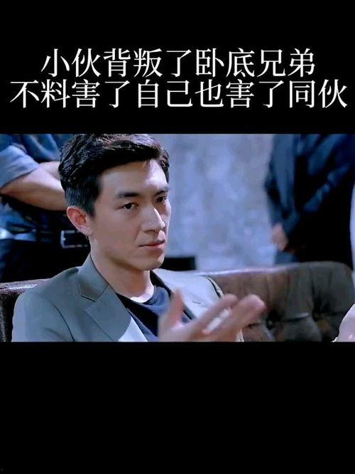 电影同伙电影免费观看,揭秘电影背后的免费观影传奇
