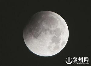 免费观看星月童话,免费观影之旅，浪漫星空下的奇幻冒险