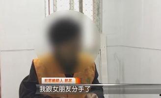 性妇女视频,性少数群体视频内容解析