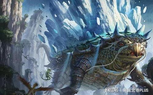 大龟视频,揭秘自然奇观与生态奥秘