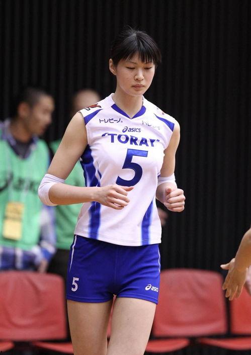 sga 日本,日本文化精髓的传承与创新