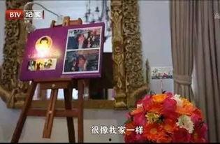 朗格拉姆视频,揭秘视频中的科技魅力与未来趋势