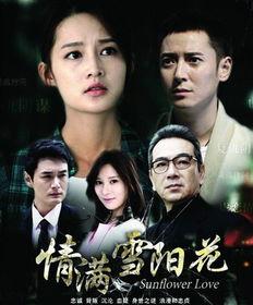 在线播放情满雪阳花,一场跨越时空的浪漫邂逅