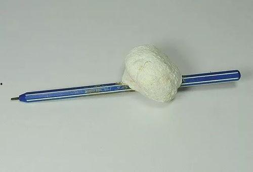 肛珠无码磁力,探索肛珠无码磁力世界的神秘面纱