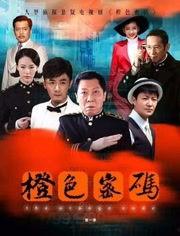 橙色密码免费观看全集,免费解锁全集，揭秘神秘密码背后的故事