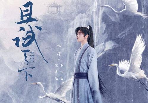 且试天下视频,穿越时空的奇幻冒险之旅